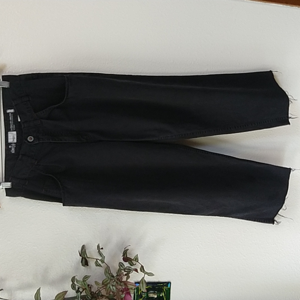 Vintage SilverTab Baggy Black Cropped Pleated Pants Raw Hem Distressed 31x25
